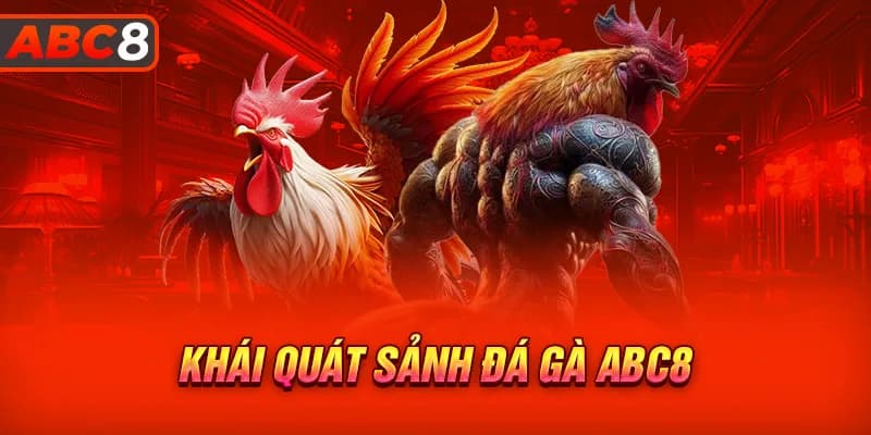 Giới thiệu về dịch vụ cược đá gà Acb8