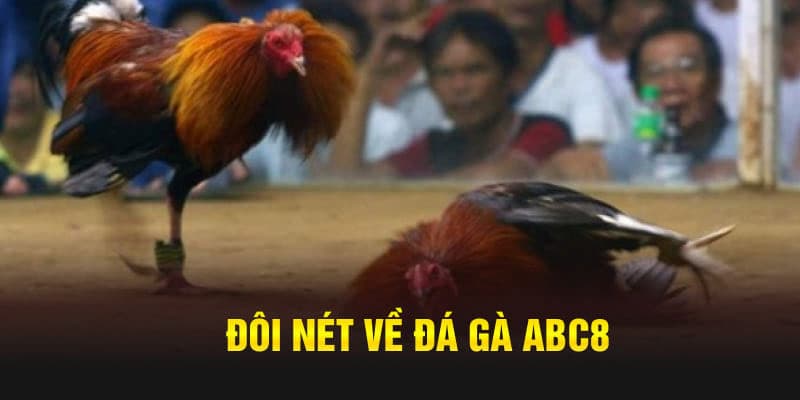 tham gia đá gà Acb8 để giảm rủi ro