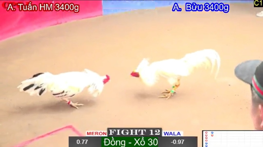 lưu ý cho người chơi, tránh bị lừa đảo khi coi đá gà trực tiếp