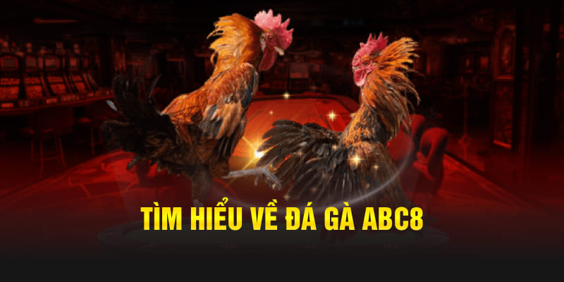 Mẹo cược đá gà Acb8